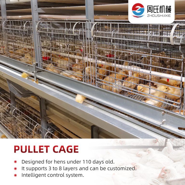 Stackable Brooder Cages Stacked brooding hen cage - Zeus