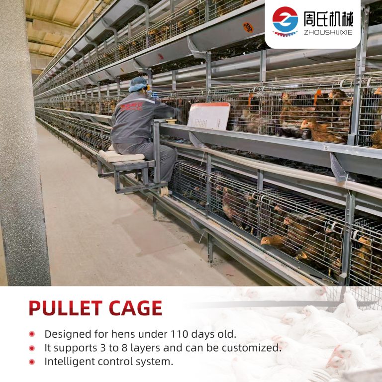 Stackable Brooder Cages Stacked brooding hen cage - Zeus