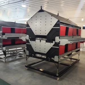 Best Incubator for Chicken Eggs (2)