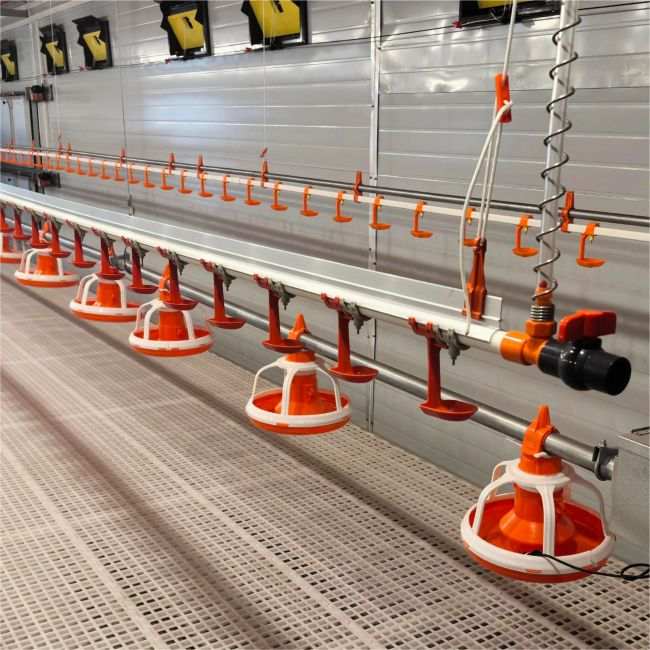 automatic feed tray
