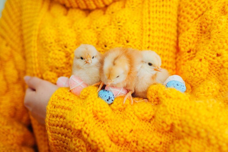 Easter chicken