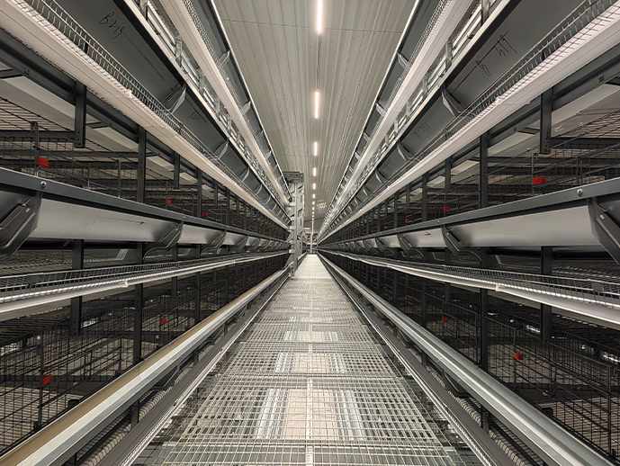 H-Type layer cages
