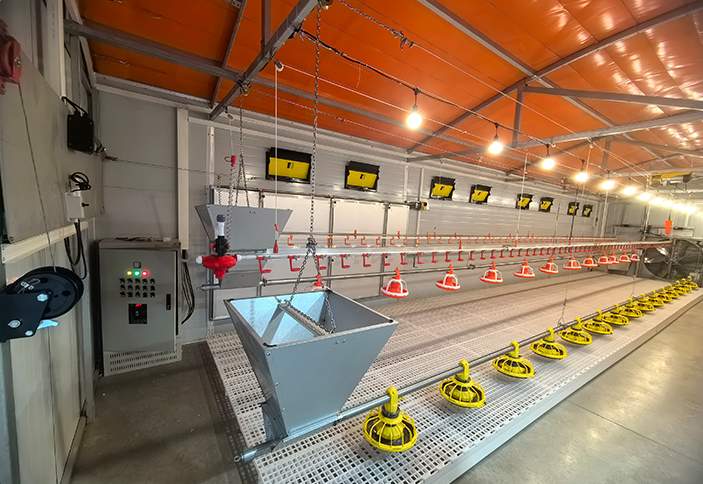 Farm Poultry Feed Line