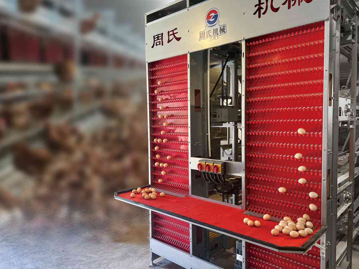 automated egg collecting machine