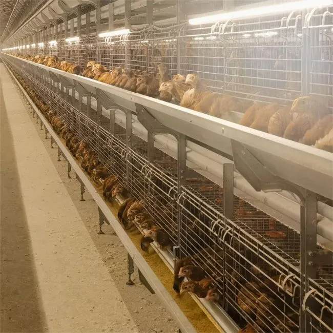 brooding cascading cage