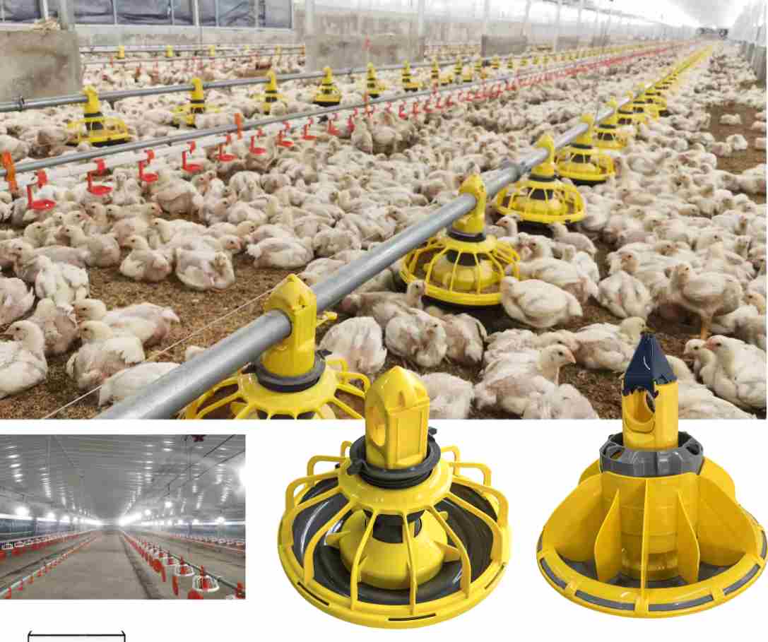 Automatic Plastic Feeding Trays