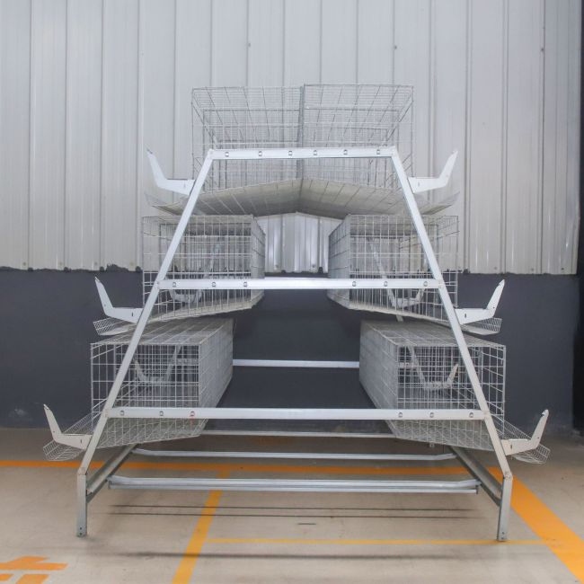 A shaped Three-dimensional Broiler Cage