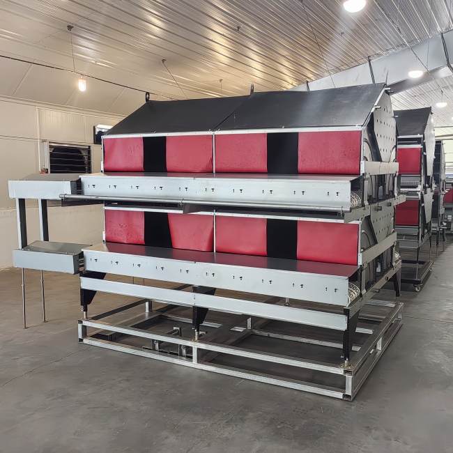 Automatic egg laying box