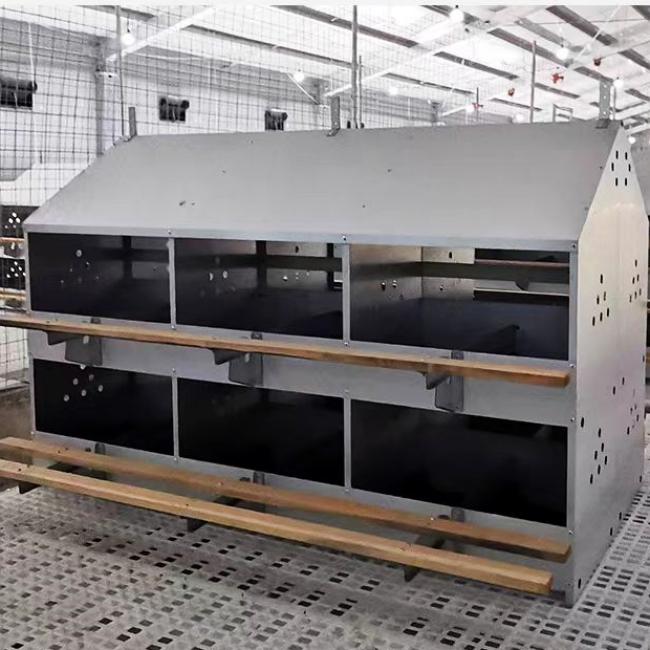 Automatic egg laying box2