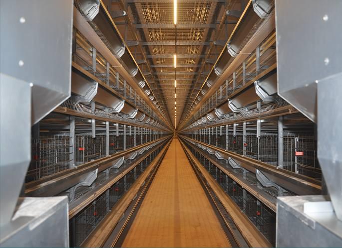 H-Type layer cages_04