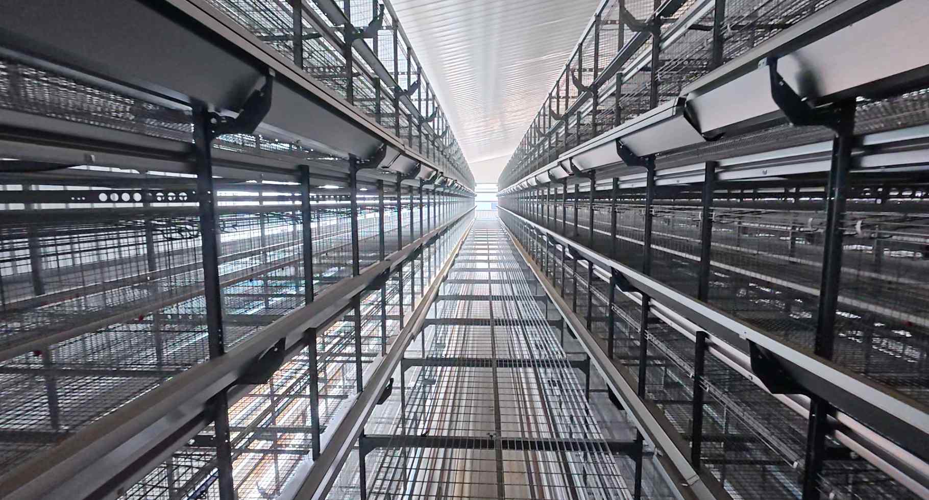 ScreenShot_2026-03-05_094607_924