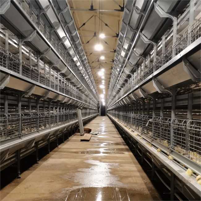 Automated Three-dimensional Broiler Cage