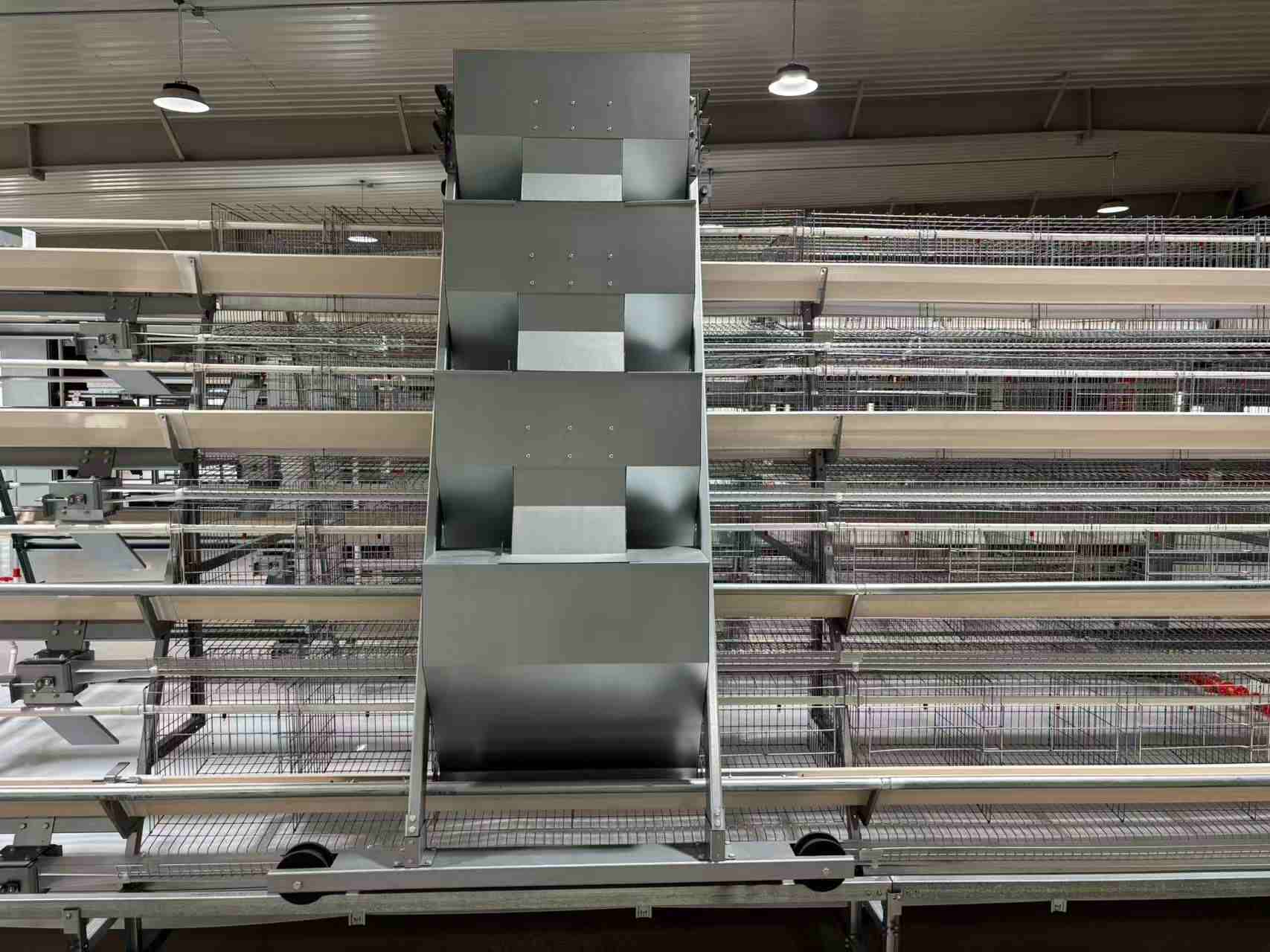 Layer Chicken Cage System (2)