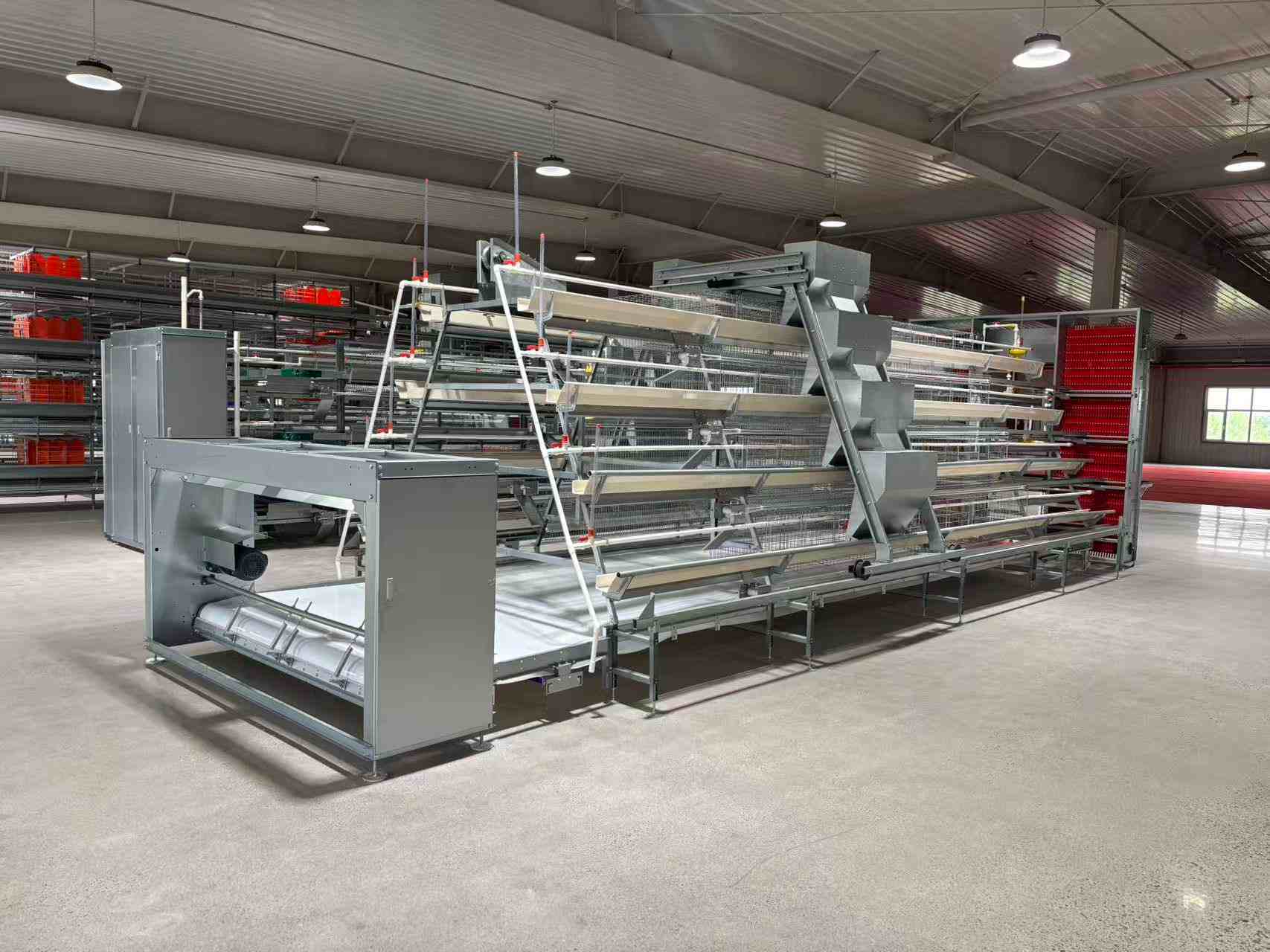 Layer Chicken Cage System