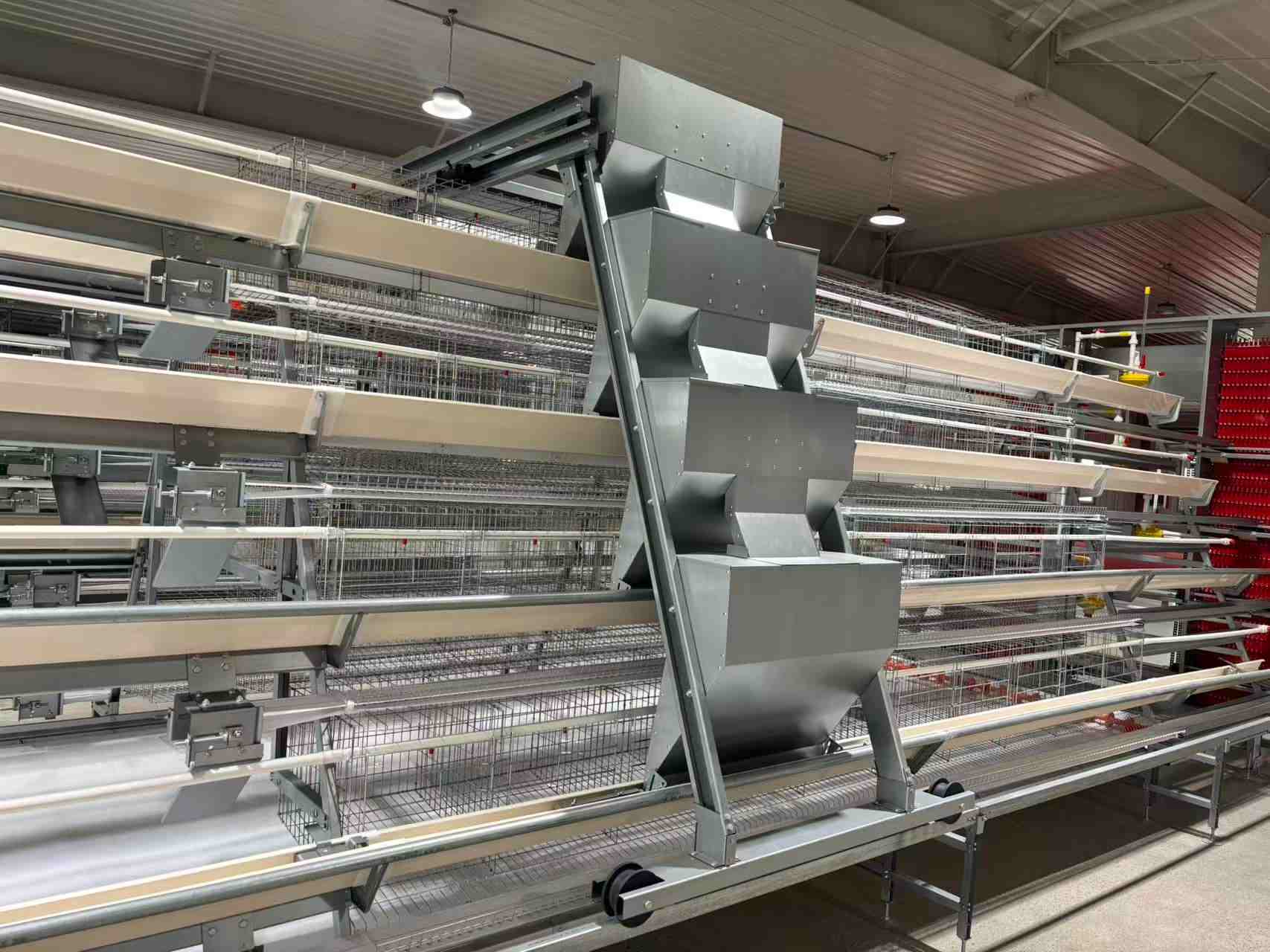 A-Type Layer Cage System