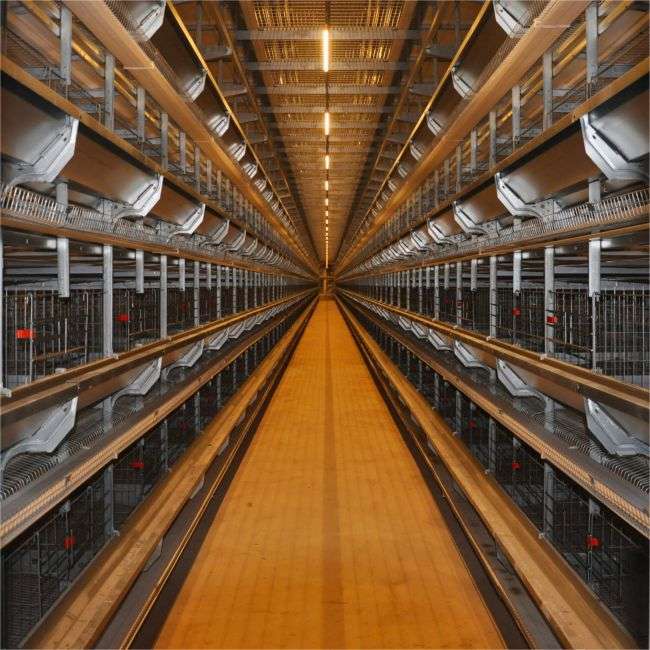 Layer Cages Design Guide Key Features and Best Practices