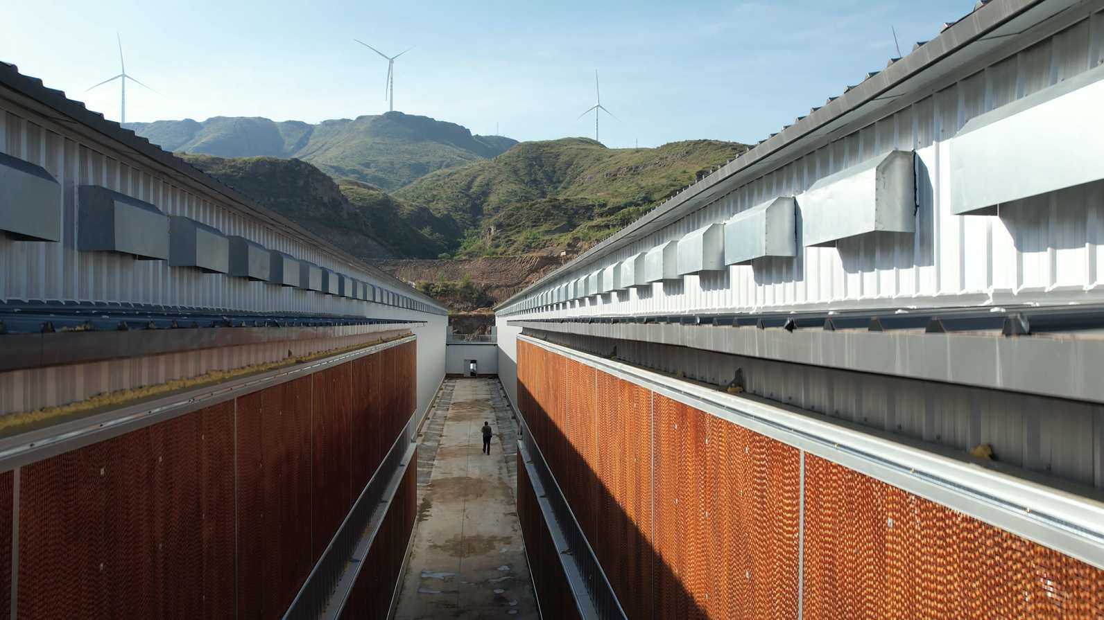 Poultry Battery Cages into Smart Farming Systems