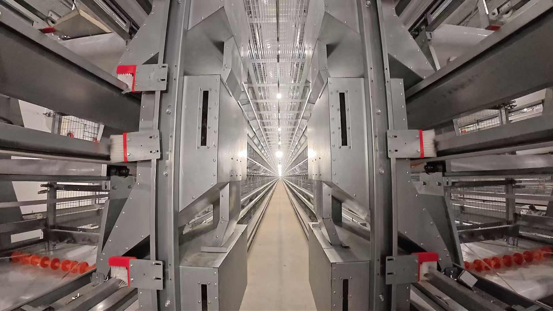 ZEUSYANG’s Battery Cage Solutions