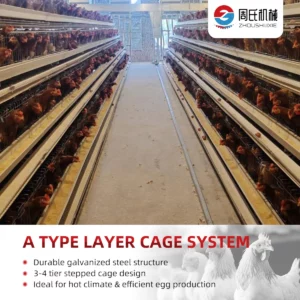 A-TYPE-LAYER-CAGE3