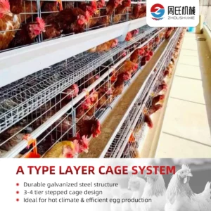 A-TYPE-LAYER-CAGE4
