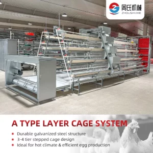 A-TYPE-LAYER-CAGE5