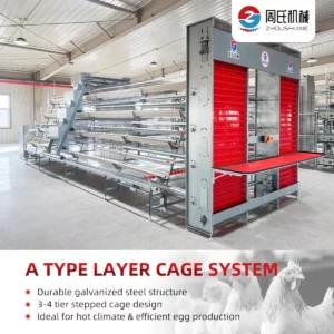 A-TYPE-LAYER-CAGE7