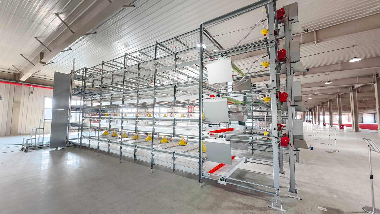 Broiler Farming in a Cage System (2)