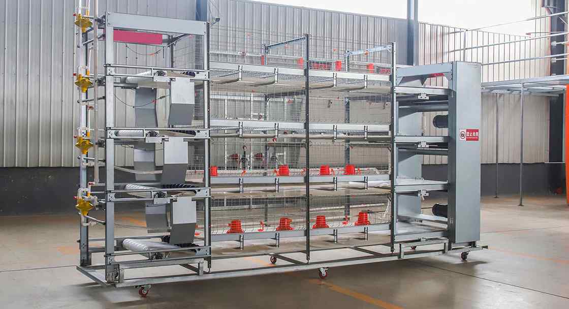 broiler battery cages