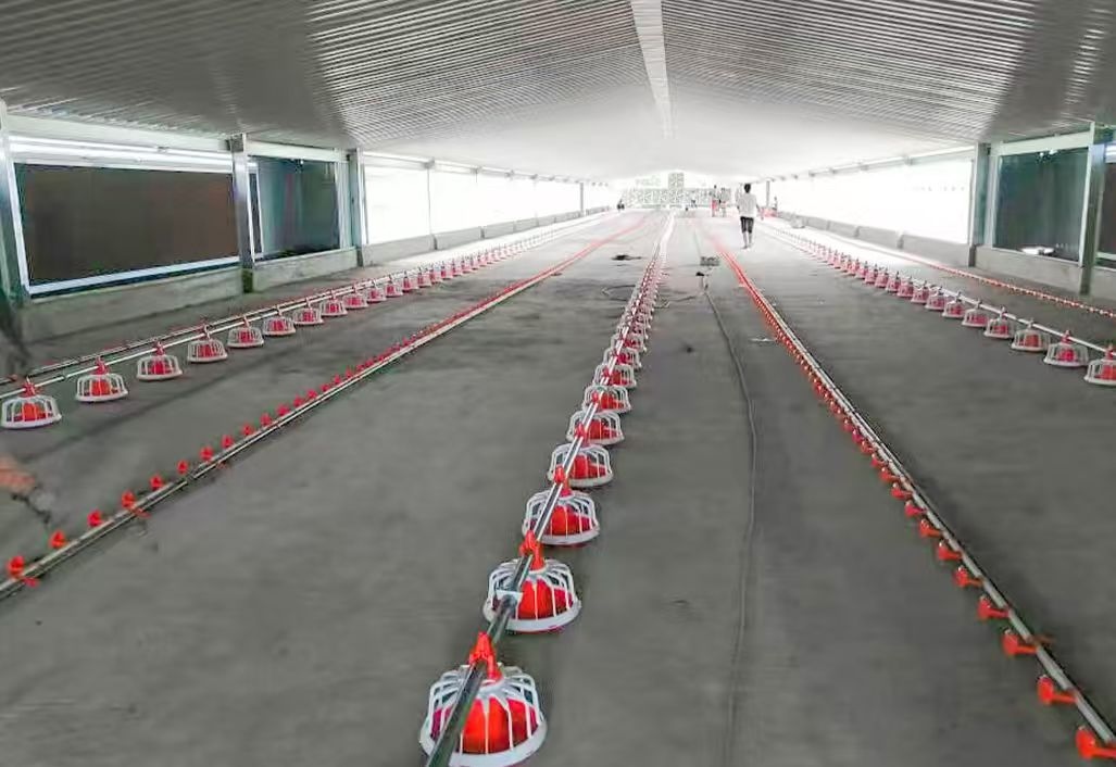 Deep Litter System