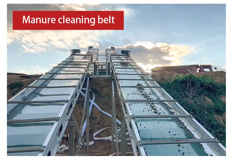 Manure cleaning belts