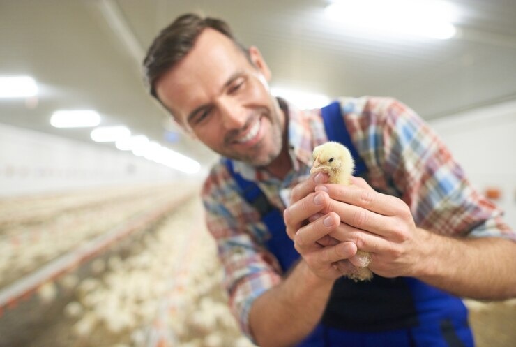 Poultry Farm Equipment Cost 2026