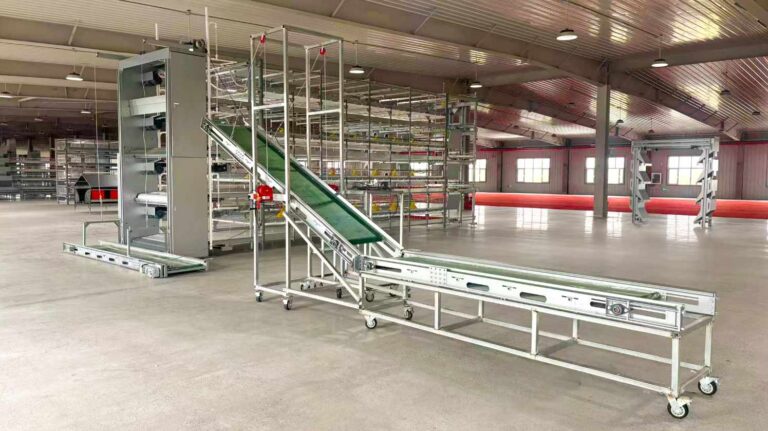 Poultry Farming Equipment for Disease Prevention in Hot Climates Cages, Ventilation & Biosecurity Guide