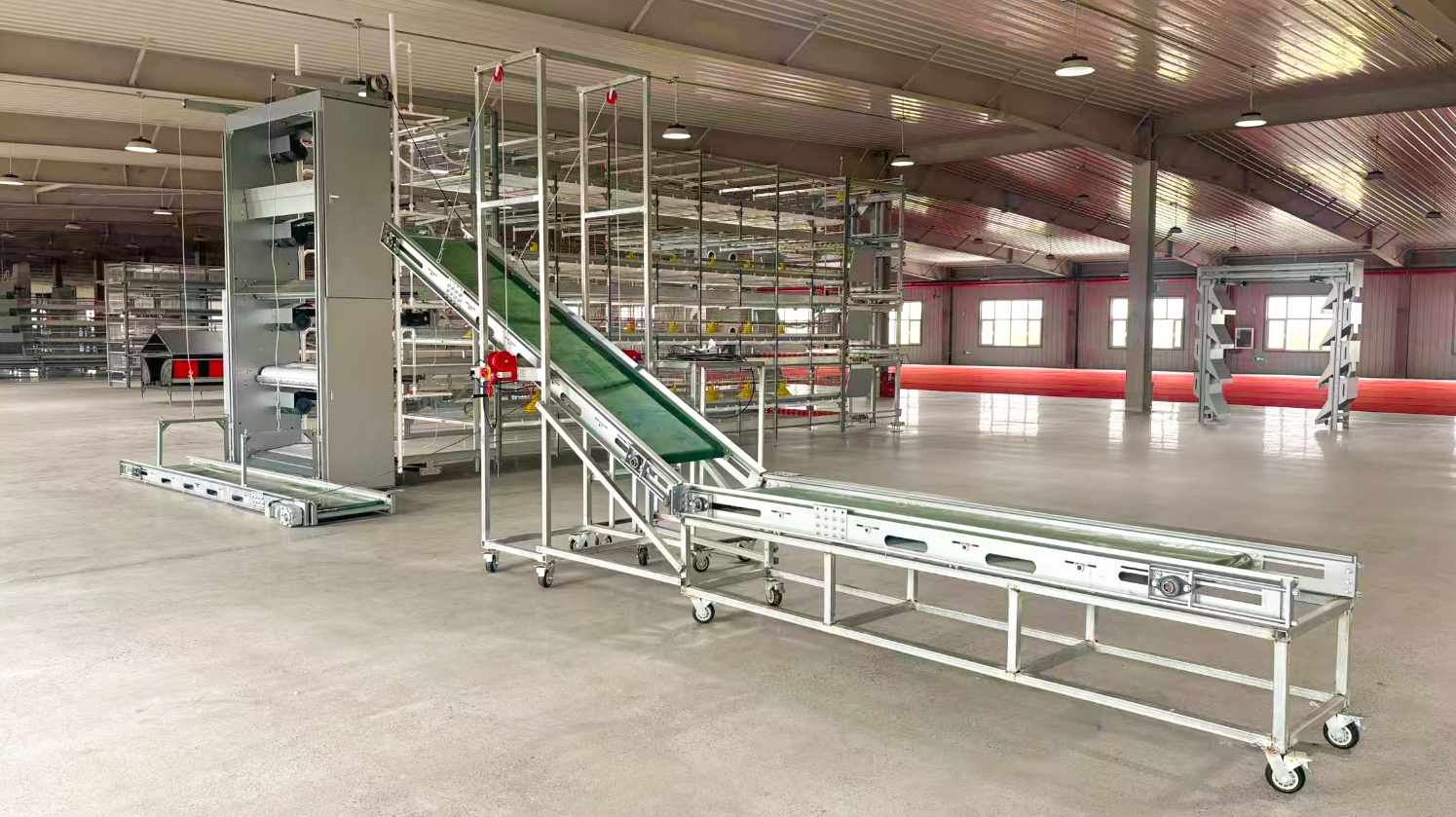 Poultry Farming Equipment for Disease Prevention in Hot Climates Cages, Ventilation & Biosecurity Guide