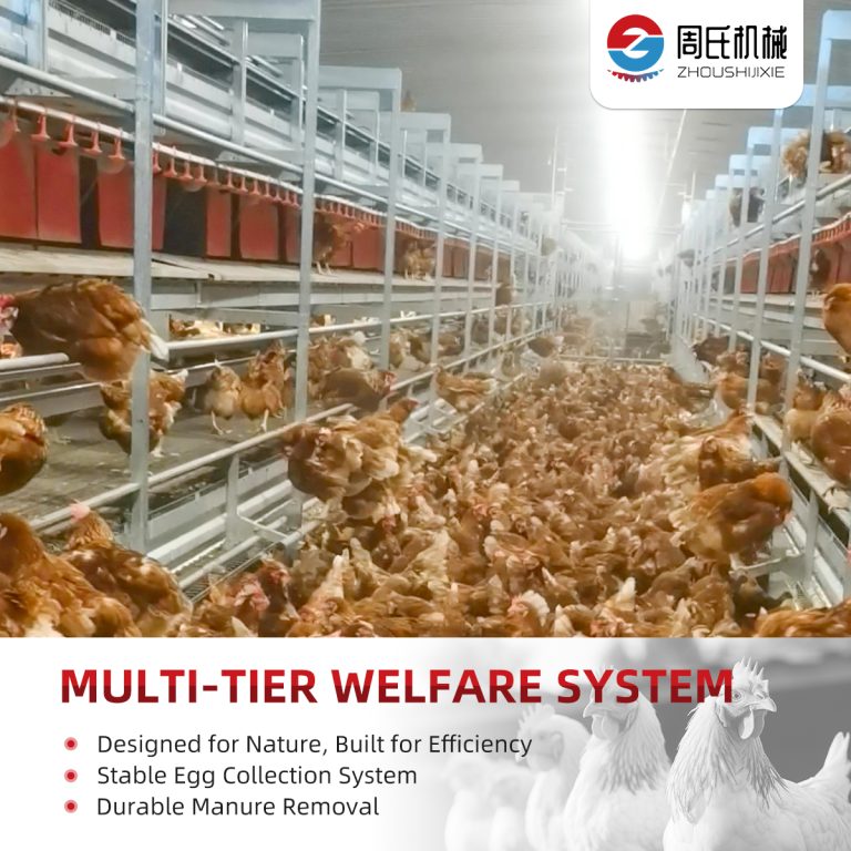 ZEUSYANG multi-tier welfare layer system installed in a commercial cage-free poultry house
