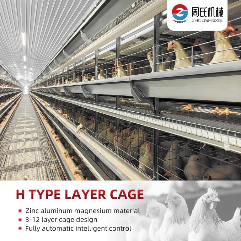 How to Choose a Poultry Equipment Manufacturer： 12 Things Buyers Should Check
