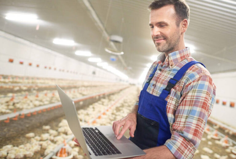 Poultry Lighting System Design LED Layout, Photoperiod and Energy Control