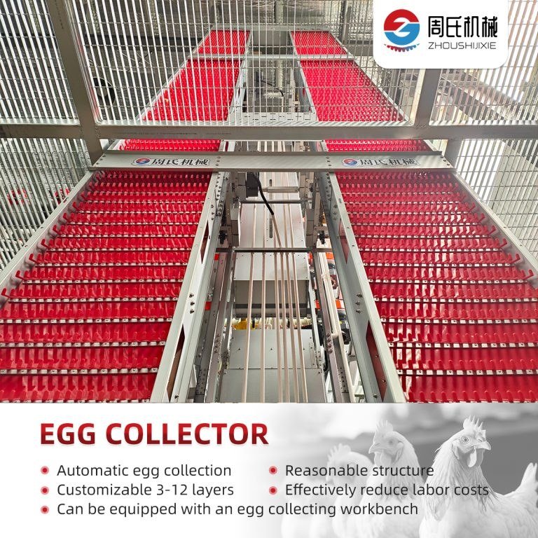 elevator-egg-collecting-machine
