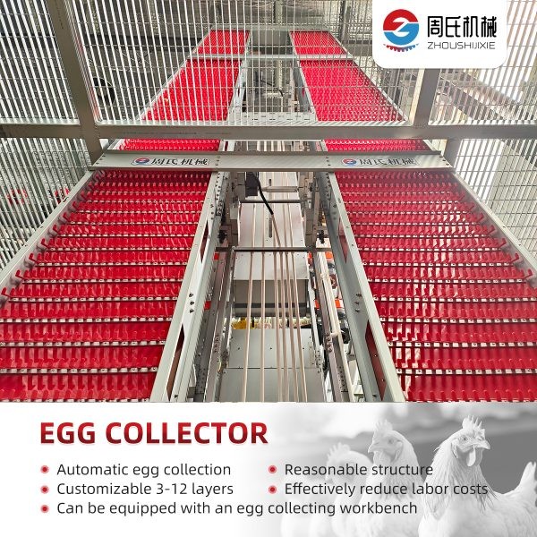 elevator-egg-collecting-machine