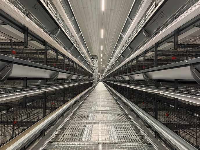 h-type-layer-cage-system