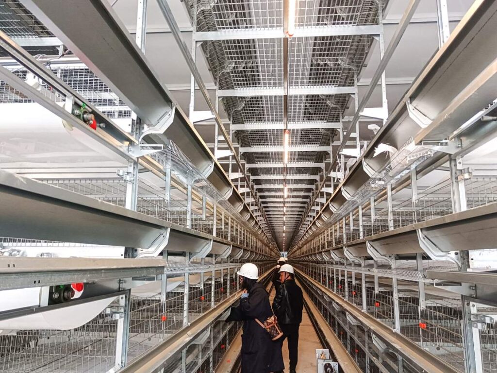 layer cage manufacturer case2(1)