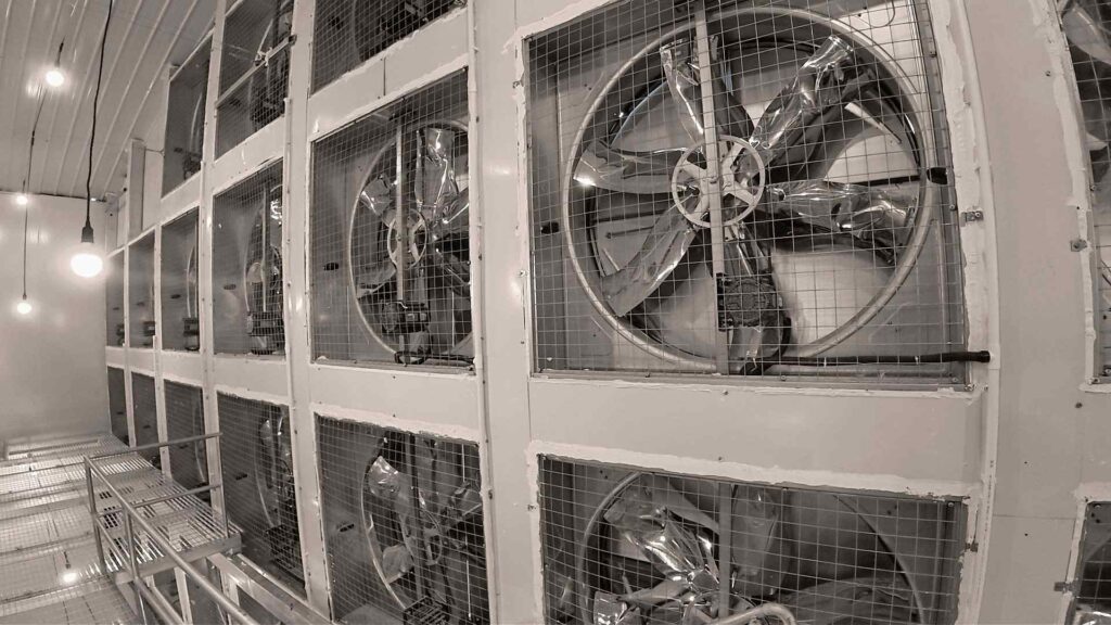 layer cage manufacturer case7(1)