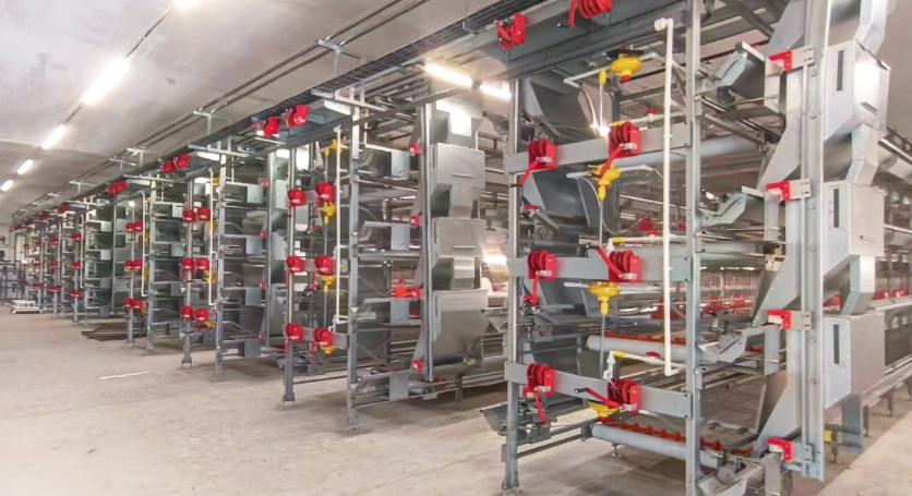 poultry equipment chicken farming