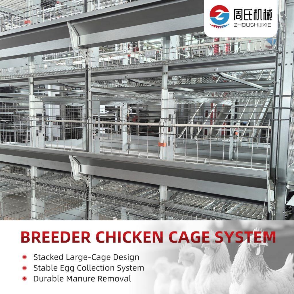 breeder-chicken-cage-system